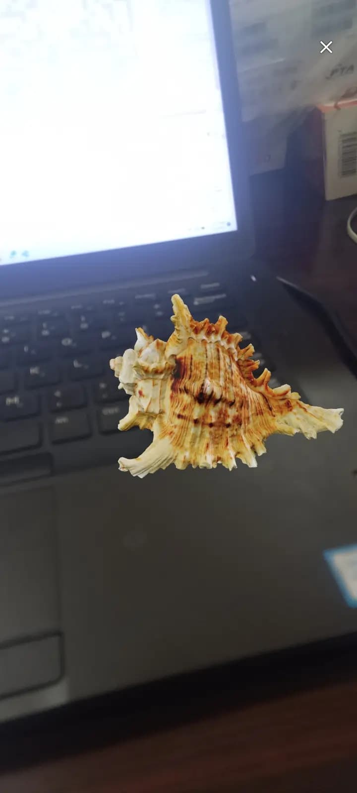 AR-4U Banner Screen 2